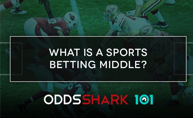 The japanese Versus Croatia Anticipate, Possibility, Gambling grand national outlander odds Information And greatest Wagers To possess World Mug 2022 Bullet Of 16
