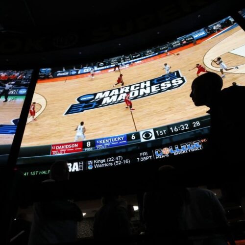 Florida Wagering 2022, https://accainsurancetips.com/ Legal Wagering In the Florida